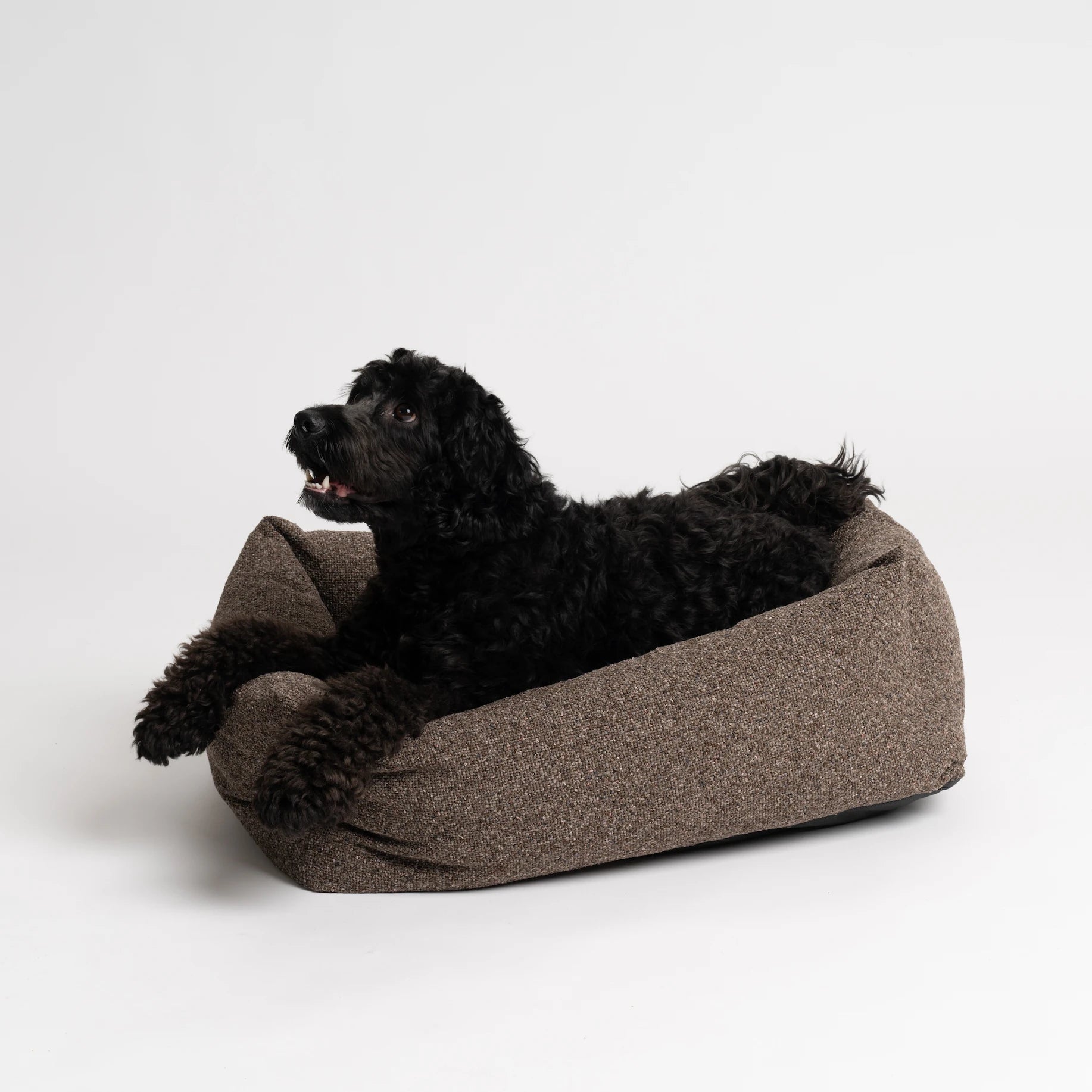 REST - Brown